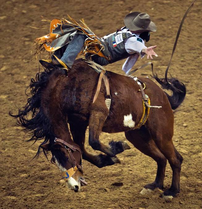 Bareback rider Evan Jayne gets bucked back on Dirty Rags but hangs on during Day 1 action of the 2016 Wrangler NFR at the Thomas & Mack Center on Thursday, Dec. 1, 2016.