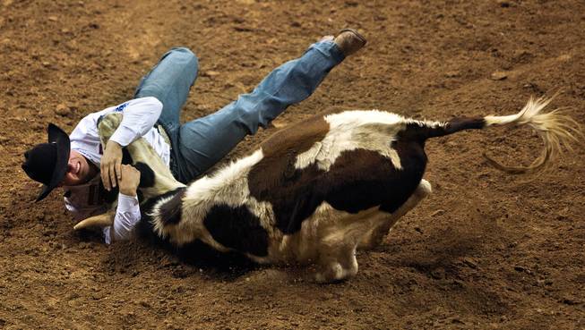 Steer Wrester J.D. Struxness goes to the dirt to roll over his steer during Day 1 action of the 2016 Wrangler NFR at the Thomas & Mack Center on Thursday, Dec. 1, 2016.