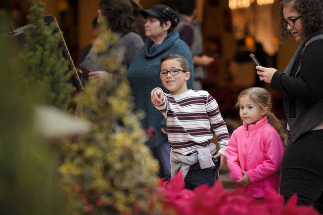 Youngsters spot the electric train coming around the bend in the annual holiday display at the Bellagio Conservatory and Botanical Gardens in Las Vegas on Monday, Dec. 5, 2016. The Bellagio horticulture staff has assembled this year's display with 34,000 flowers, 750 plants and shrubs, and 25 trees to transform the 14,000-square-foot floral playground into a showcase of the distinctive sights and colors of the season. The holiday display runs through Jan. 2.