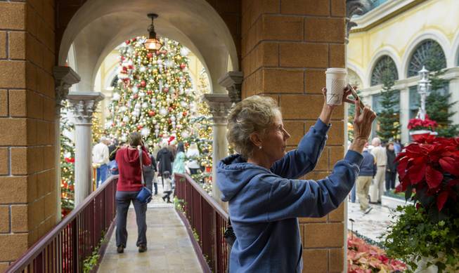Visitors grab photos in different directions in the annual holiday display at the Bellagio Conservatory and Botanical Gardens in Las Vegas on Monday, Dec. 5, 2016. The Bellagio horticulture staff has assembled this year's display with 34,000 flowers, 750 plants and shrubs, and 25 trees to transform the 14,000-square-foot floral playground into a showcase of the distinctive sights and colors of the season.