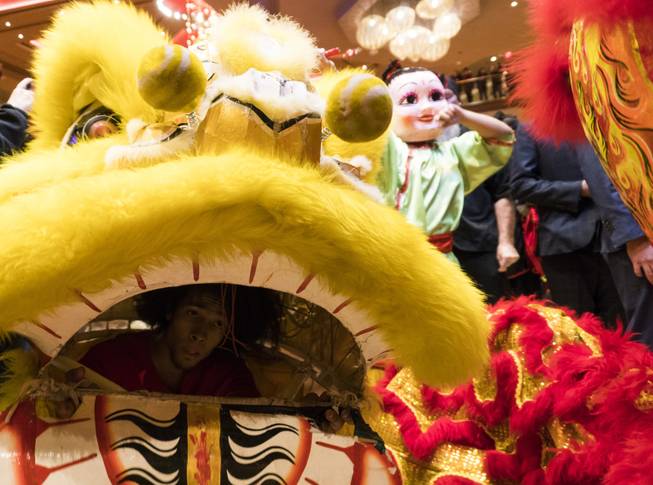 A performer from the Lohan School of Shaolin looks out from under a lion costume during a traditional lion dance during Lucky Dragons grand opening celebration, Saturday, Dec. 3, 2016.