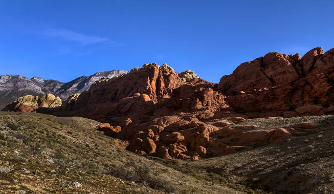 Color in Red Rock Canyon