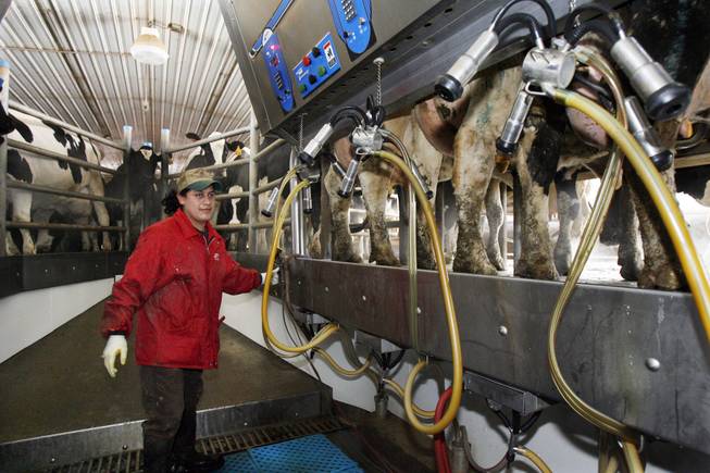 Dairy Farmers worry about trade to Mexico