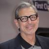 The Hollywood Reporter said on April 25, 2017, that actor Jeff Goldblum would return to the Jurassic Park franchise for the upcoming sequel to 2015's "Jurassic World."
