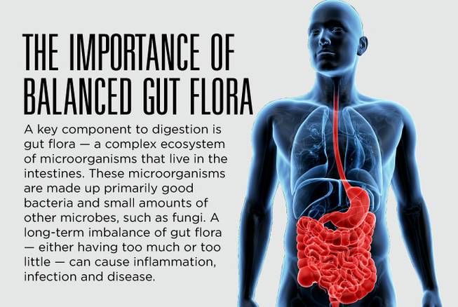 HCA gut health native 