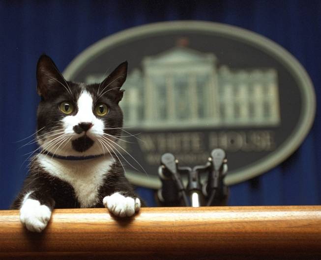 White House Pet