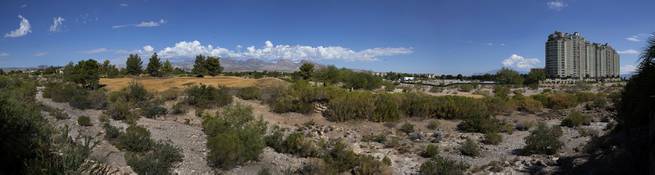 The shuttered Badlands Golf Course with dead greens and extensive overgrowth about the homes in Summerlin on Saturday, August 12, 2017.