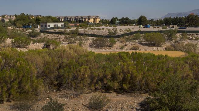 The shuttered Badlands Golf Course with dead greens and extensive overgrowth about the homes in Summerlin on Saturday, August 12, 2017.