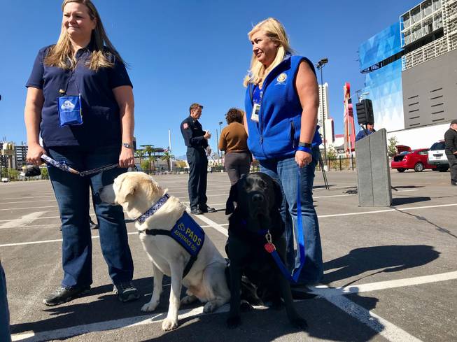 Therapy dogs stand ready to comfort those affected by the mass shooting on the Las Vegas Strip.