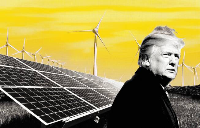 renewable Trump