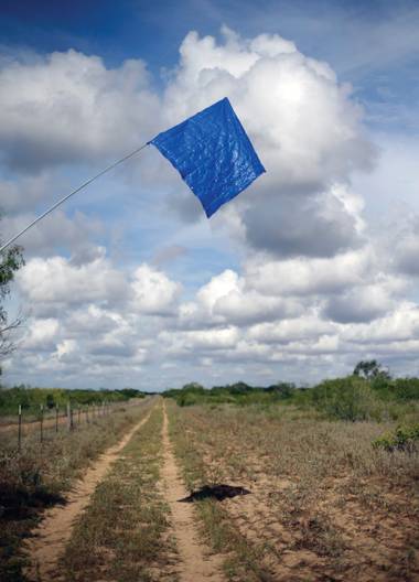In this Aug. 23, 2013, photo, a blue flag marks a water station on a ranch near Falfurrias, Texas. Brooks County, home to a Border Patrol checkpoint about an hour north of the border, handled 129 bodies last year of immigrants that died in their attempt to come to the U.S. Brooks County is now trying to improve its services by performing an autopsy on all immigrants and making greater efforts to identify them.