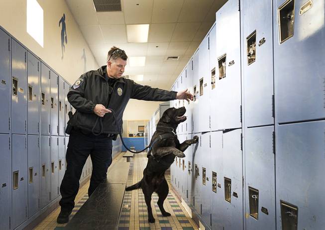 School K9s Sniff Out Guns and Ammo