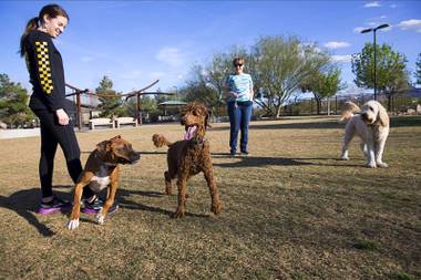 Alexis Duncan, left, and Janet St. John watch dogs play at the Bark Park at Heritage Park, 350 N. Racetrack Rd., in Henderson Friday, March 22, 2019. Dogs from left: Jack, an 11-month-old boxer, Zion, a 1-year-old standard poodle, and Lulu, a 16-month-old Goldendoodle.