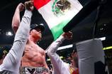 Canelo Takes IBF Title With Unanimous Decision Win