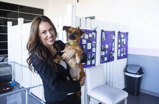Veronica Stiles an owner of Boogie Time LV, a pet daycare, grooming and boarding facility, poses with Bailey at Boogie Time LV in Las Vegas on Thursday, Oct. 3, 2019.