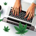 Marijuana courses cannabis online education