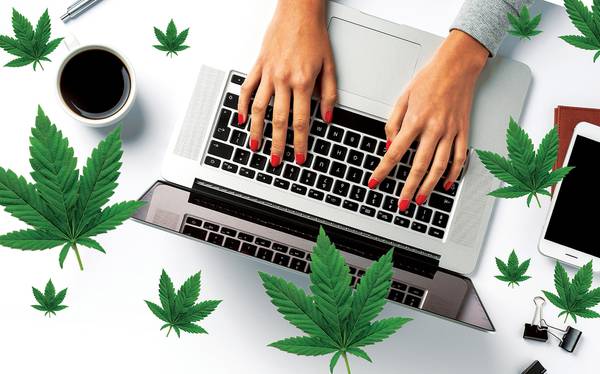 Cannabis U Unlv Csn Offering Courses On The Marijuana Biz Las Vegas Sun News