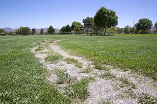 Ruts are shown in a grass field at Mission Hills Park in Henderson Wednesday, Aug. 5, 2020. The damage was caused by someone driving on the field sometime between Monday night and Tuesday morning (Aug.3-4) and caused about $4,000 in damage.