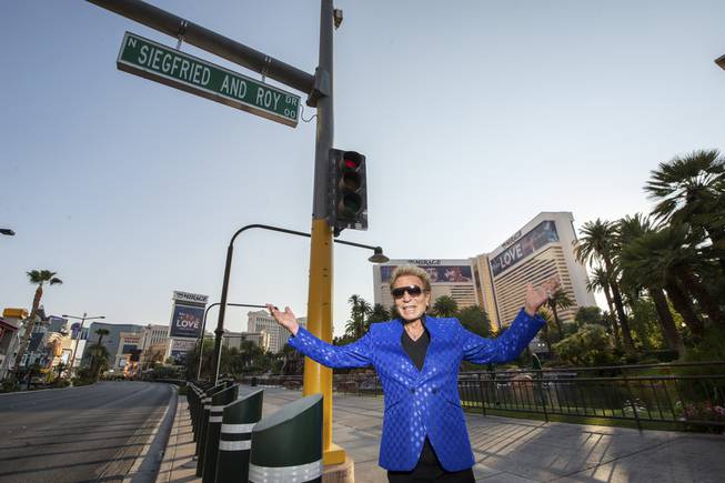Siegfried & Roy Drive Unveiled
