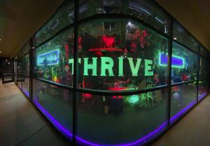 THRIVE Cannibis Marketplace Southern Highlands Opening