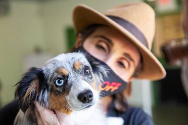 As the coronavirus pandemic ebbs, dog trainers are seeing a predictable increase in separation anxiety and undersocialized pups as their humans venture back into the world for longer periods of time.