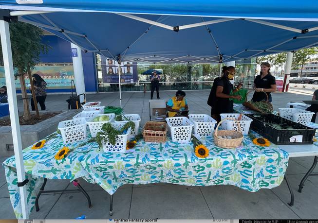 A look at the produce available at a pop-up market at the Bonneville Transit Center in downtown, Sept. 15, 2021
