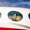 Brandon Nguyen kisses his wife, Katherin, before their takeoff on a Love Cloud flight to celebrate her birthday, Jan. 15, 2022, at North Las Vegas Airport. For $995, Love Cloud will fly you and a partner in a private airplane for 45 minutes so that you can have sex.