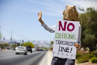 Mojave Green Founder Shannon Salter, wearing a horned lizard mask, protests the NV Energy Greenlink Nevada Transmission Line project Monday, May 16, 2022.