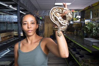 Co-owner Stephanie Tracy holds a Butter Leopard ball python in the Wild Things pet store at Flamingo Avenue and Sandhill Road Tuesday, June 20, 2023. A burglar broke into the business early Saturday morning, stole reptiles valued at $14,000 and caused an estimated $4,000 in damages, Tracy said.