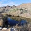 A view of King’s Pool in the Ash Meadows National Wildlife Refuge Tuesday, March 5, 2024.