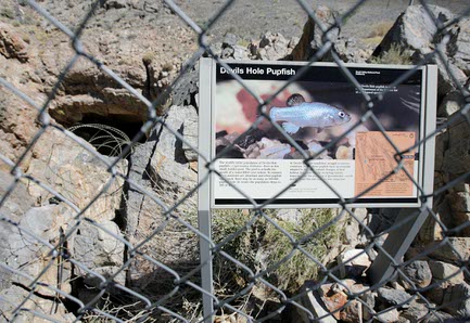 Information posted concerning the Devil's Hole Pupfish is shown through a protective fence at Devil's Hole, the endangered Devil's Hole Pupfish's only natural habitat, in Death Valley National Park, Nev., April 6, 2006.