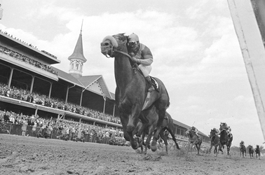 In this May 4, 1968, file photo, Dancer's Image, jockey Bob Ussery up, crosses the finish line to win the 94th running of the Kentucky Derby at Churchill Downs in Louisville, Ky. America’s longest continuously held sporting event turns 150 years old Saturday. The Kentucky Derby has survived two world wars, the Depression and pandemics, including COVID-19 in 2020, when it ran in virtual silence without the usual crowd of 150,000. 


