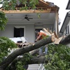 A man uses a chainsaw to cut up a tree that tore off the facade of a house, Friday, May 17, 2024, in Houston, after a strong thunderstorm moved through Thursday evening. 
