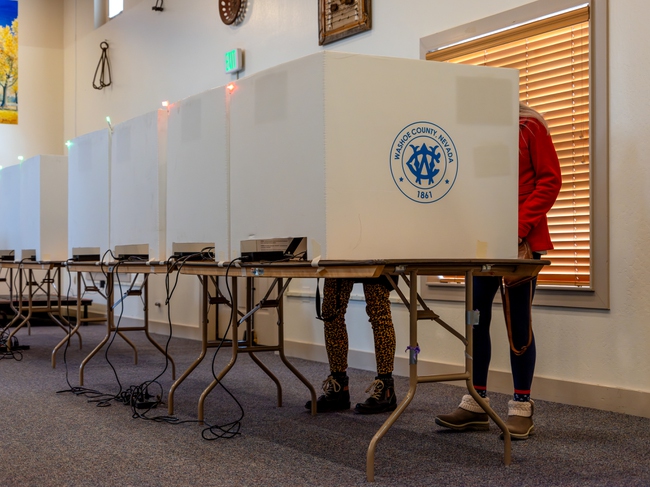 Washoe election