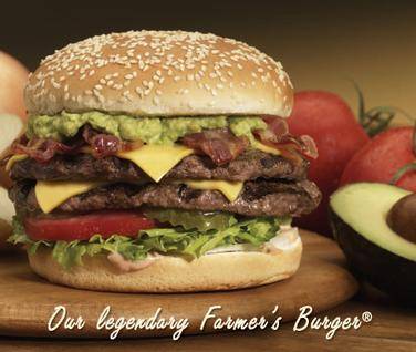 farmer burger