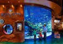 Silverton Aquarium