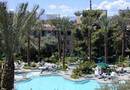 Pool at Terrible's Casino