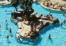 Pool at Tropicana
