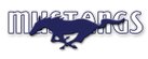 Shadow Ridge High School