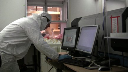 Antarctic Ice Cores