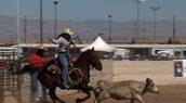 BigHorn Rodeo