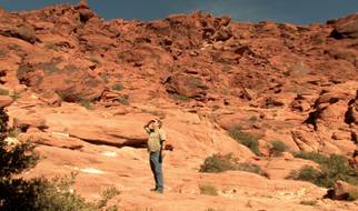 Seeking Hidden Treasures