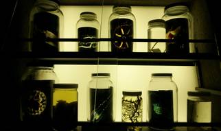 Glow: Natural History Museum