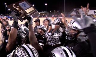 Palo Verde Gets Revenge