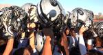 Panthers on to State