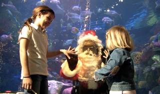 Underwater Santa