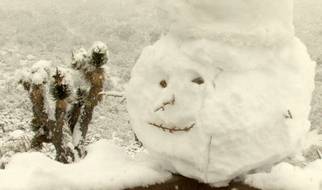 Snow Day