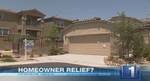 Homeowner Relief? seg. 1