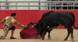 Bullfighting: Fear as Art