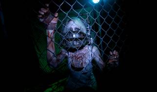 The Fear of Fright Dome